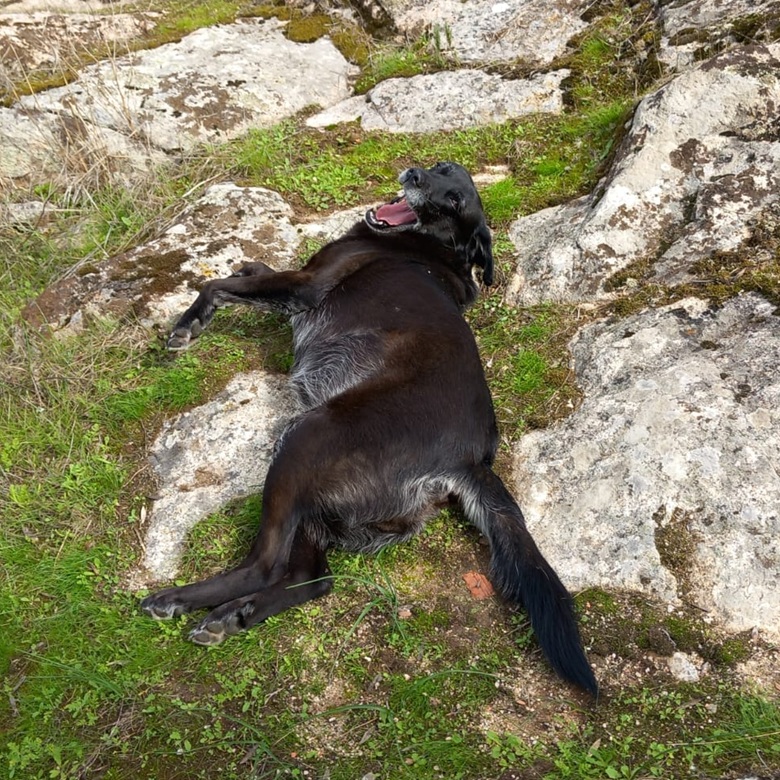 Faísca