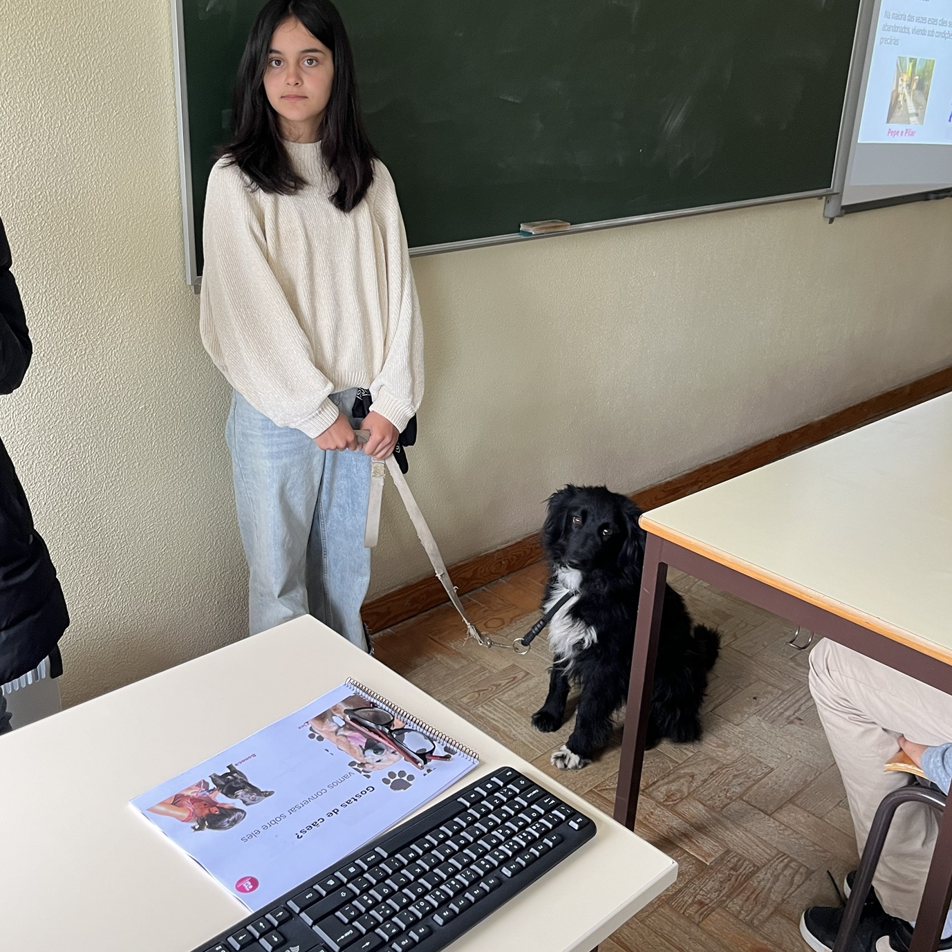 Lucky Dogs Montemor
