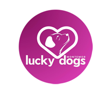 Lucky Dogs Montemor