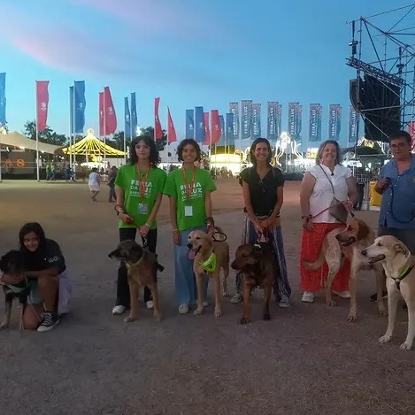 Feira da Luz/Annual local fair