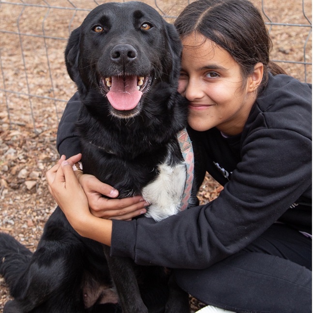 Pets In Town/News channel